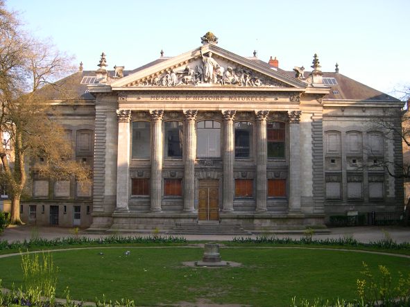  museum d'histoire naturelle